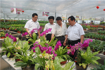 青州:“三步走”推动花卉产业新旧动能转换